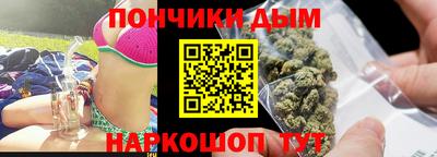сатива Гай
