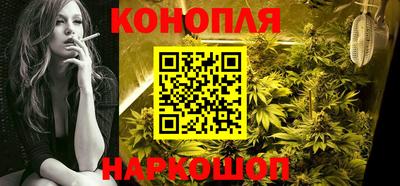 сатива Гай