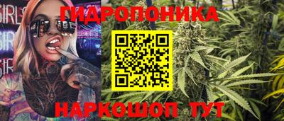 гидра Гатчина