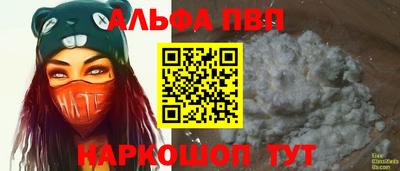 гидра Гатчина