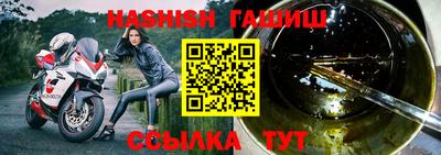сатива Гай