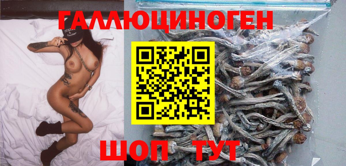 Родники  Псилоцибиновые грибы GOLDEN TEACHER  Вход с VPN 