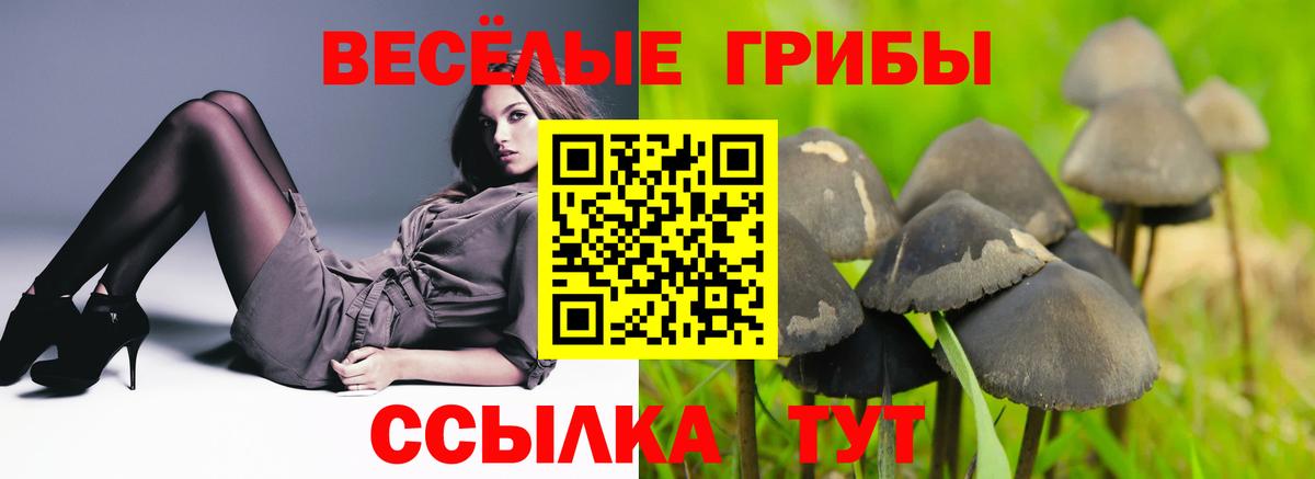 Псилоцибиновые грибы мухоморы Родники